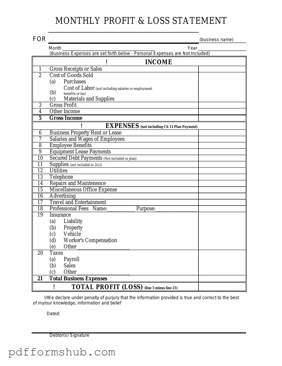 Fill in Your Profit And Loss Form