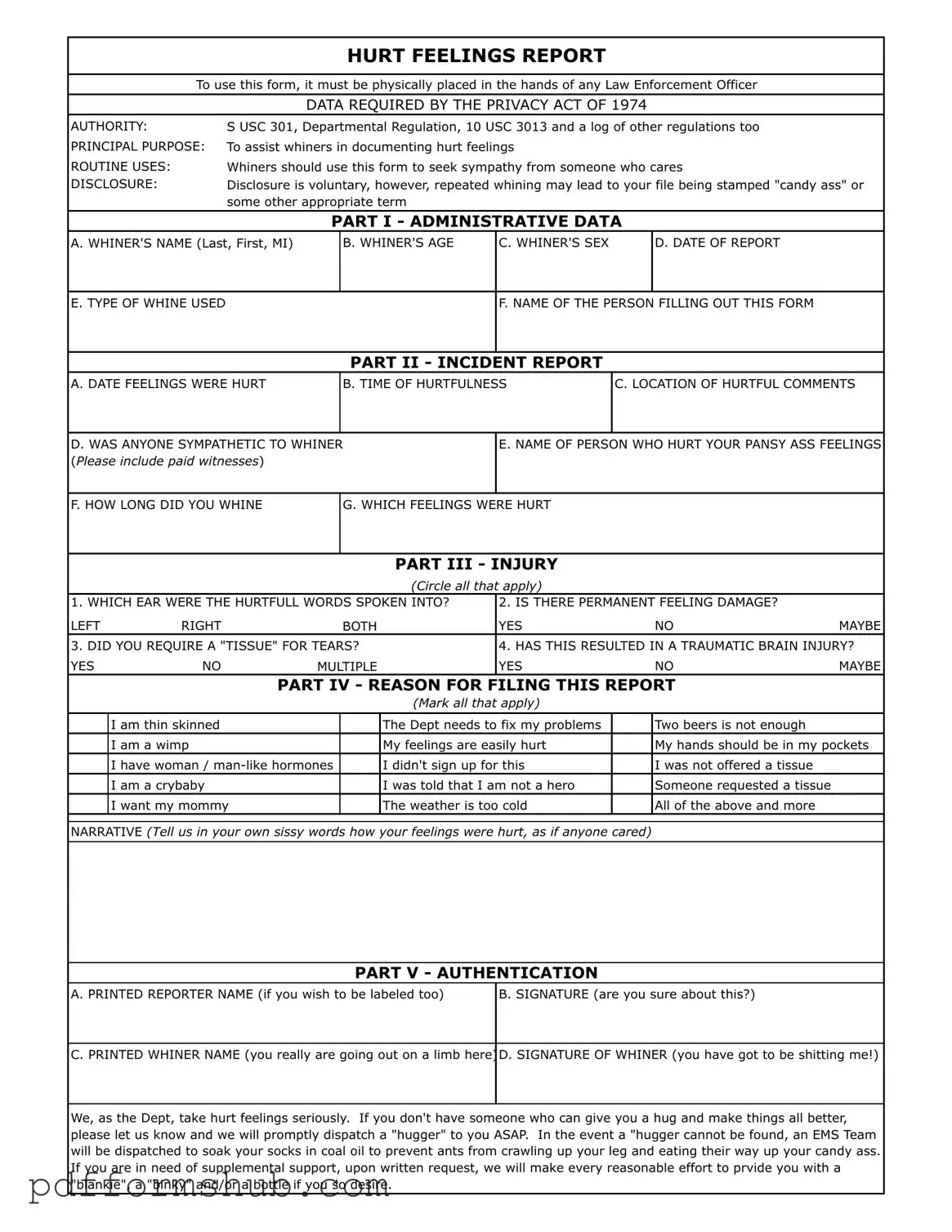 Fill in Your Hurt Feelings Report Form
