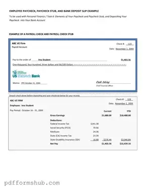 Fill in Your Payroll Check Form