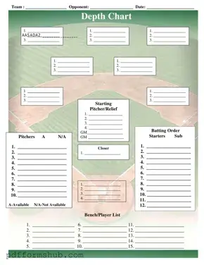 Fill in Your Baseball Field Lineup Form