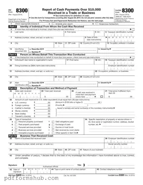 Fill in Your IRS 8300 Form