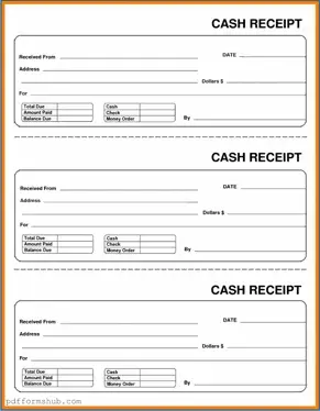 Fill in Your Cash Receipt Form