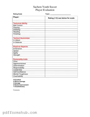 Fill in Your Soccer Player Evaluation Form