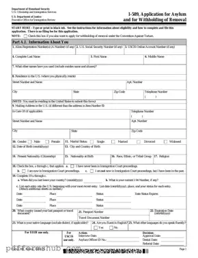 Fill in Your USCIS I-589 Form