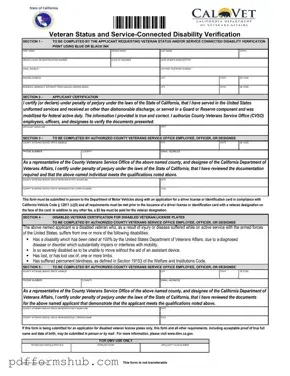 Fill in Your Vsd 001 Form