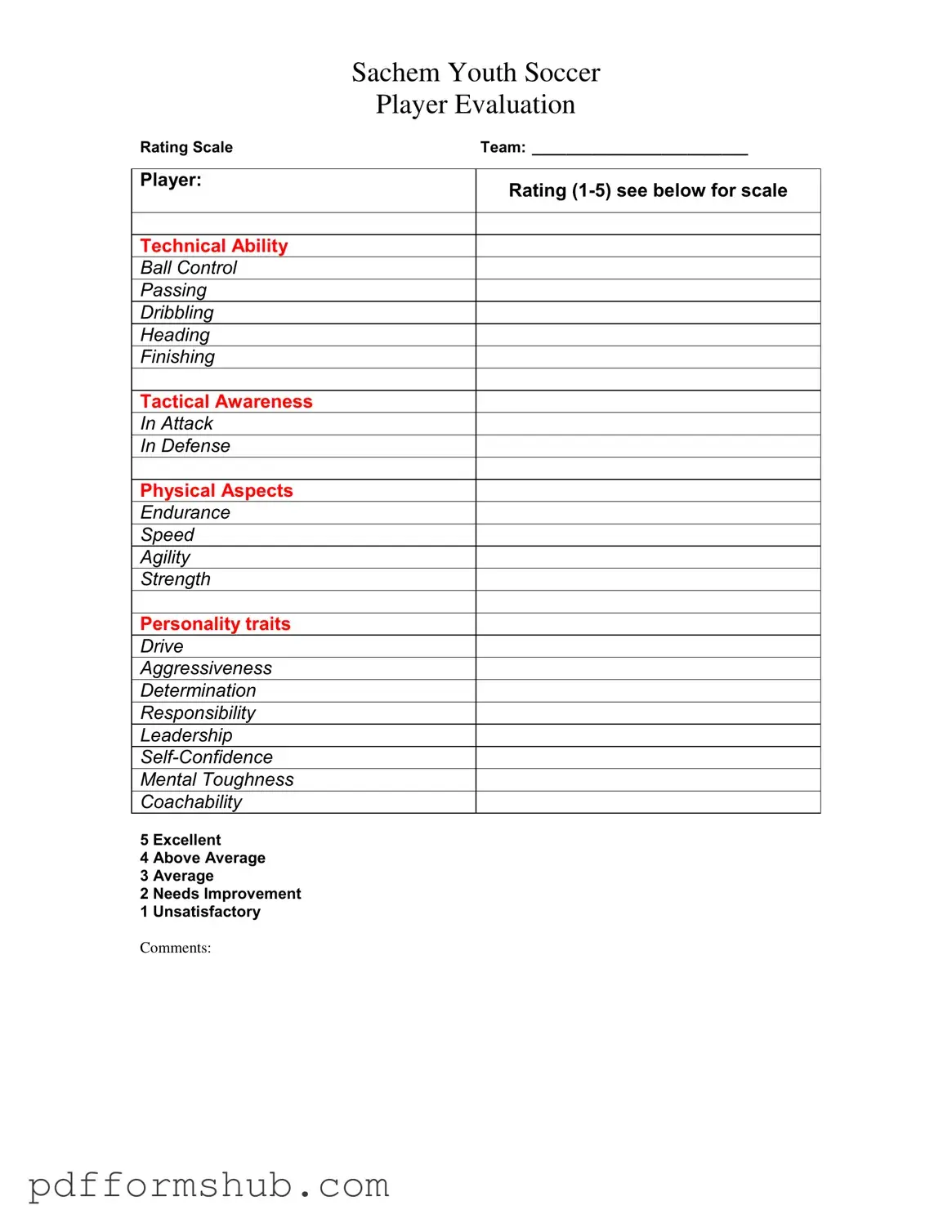 Fill in Your Soccer Player Evaluation Form