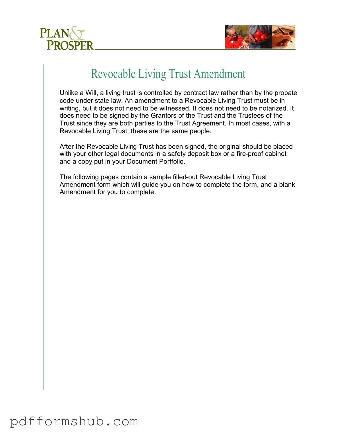 Fill in Your Trust Amendment Form